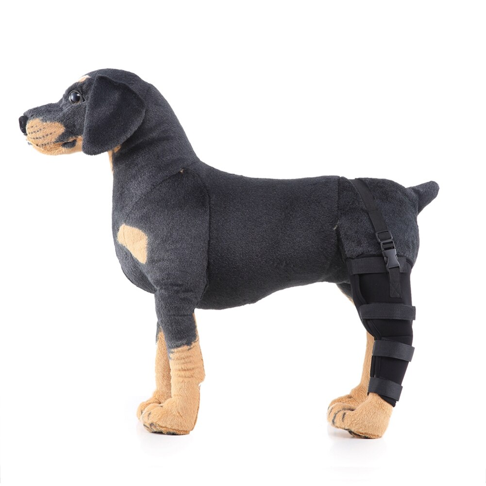 Pet Dog Leg Brace Right Left Leg Knee Hock Brace Bandages Straps Protection Dog Joint Bandage Wrap Dog Recovery Supplies: B / M