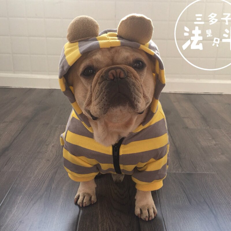 [MPK Pets] ropa de Bulldog Francés, ropa de perro a rayas anaranjadas y amarillas, suéter para perro