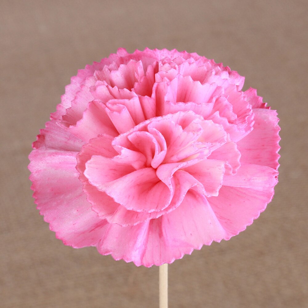 5 Stks/set Kunstmatige Bloem Rotting Sticks Geur Diffuser Aroma Riet Olie Diffuser Refill Stok Diy Thuis Kamer Decoratie