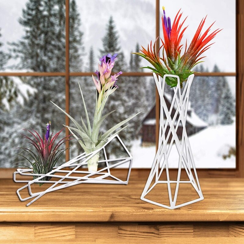Stojak na rośliny powietrzne Tillandsia,Tabletop metalowe stojaki na rośliny powietrzne pojemniki na wiszącą oplątwa (Tillandsia) rośliny domowe