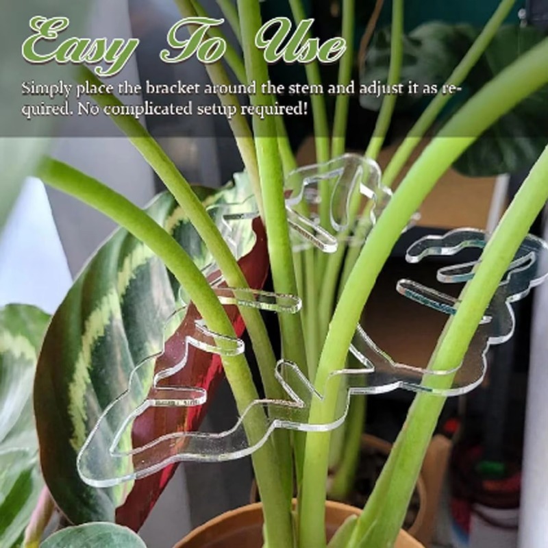 Turtle Shell Bamboo Clamp Set Monstera Grapple Plant Unique Aesthetic Monstera Plant Support Keeps Plants Tame Growing Vertical