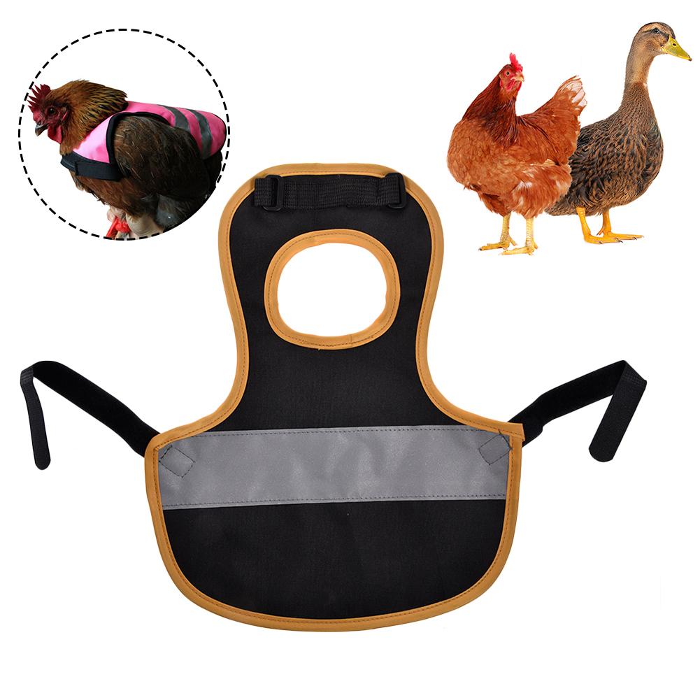 Hønsadel forklæde kæledyr vest tøj fjer rygbeskytter standard kylling jakke husholdning fjerkræ forsyninger til kylling and: Sort