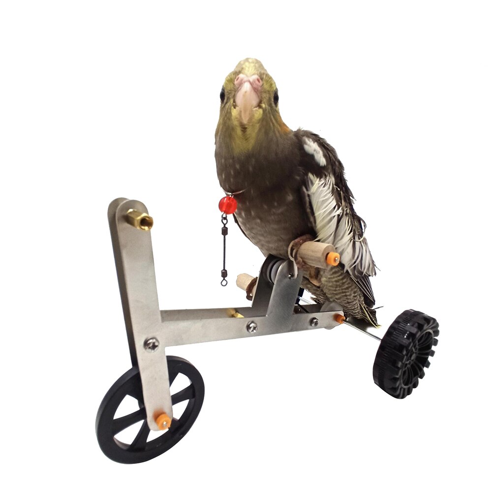 Funny Parrot Toy Bike Bird Training Supplies Birds Training Plaything Parrot Training Props Interesting Parrot Toy For Birds: Default Title