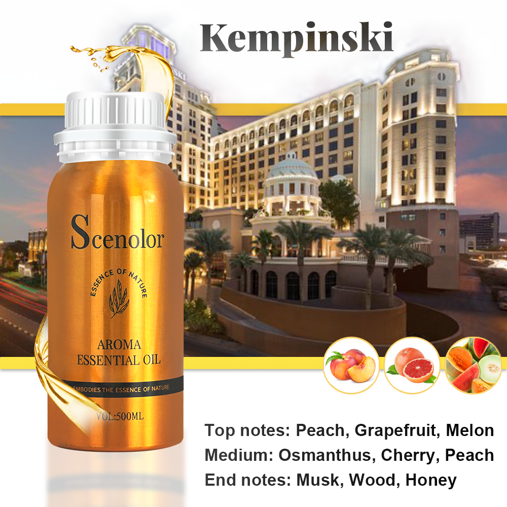 Difusor de fragrância para quarto de hotel, 500ml, para casa, ambientador, dispositivo de perfume, purificador de ar, umidificador, carro, óleo essencial: Cinza escuro