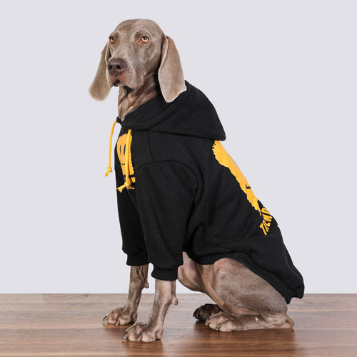 Large Dog Clothes Autumn and Winter Thick Warm Dog Sweater Doberman Labrador Golden Retriever Dog Clothes Dog Accessories: large dog 10 / Plus velvet clothes