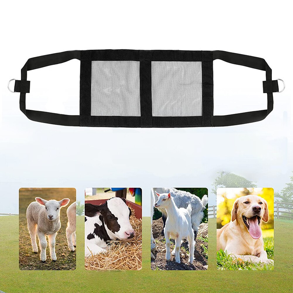 Harnais ajustable pour Animal domestique, accessoire de pesage pour bébé, volaille, Support suspendu, aide aux chiens d&#39;agneau, chats, harnais lavable, balance à mollets