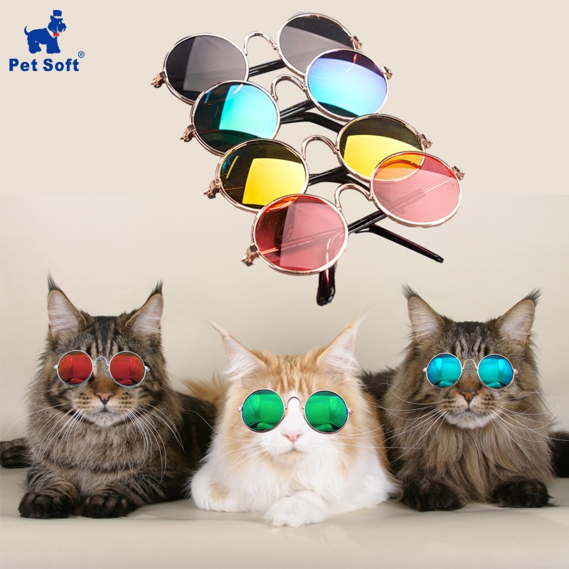 Kæledyr softpet kattebriller hundebriller kæledyr tilfældig farvefor lille hundkat øjne-slid hund solbriller fotos kæledyrsprodukter