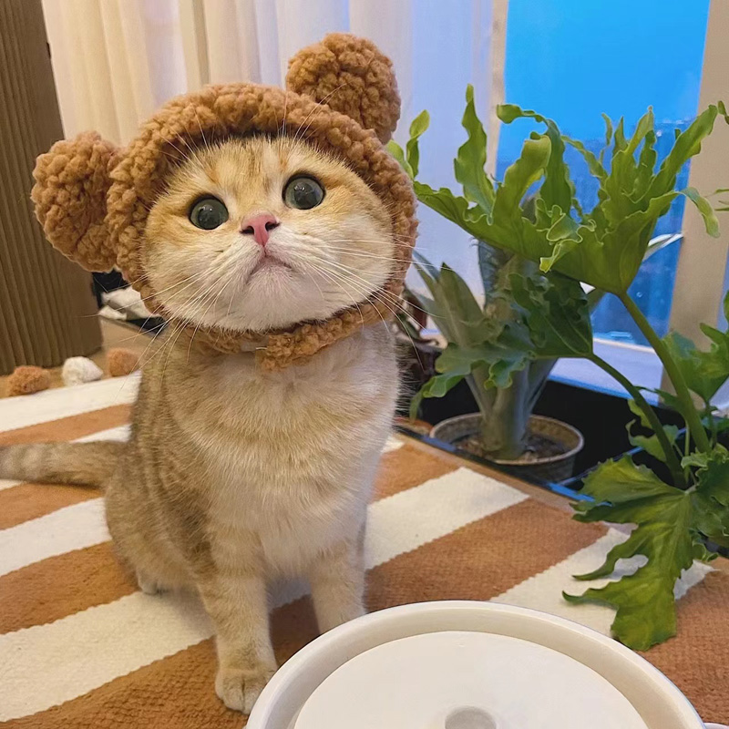 Casquette de chat drôle, couvre-tête en peluche, mignon chat chien tissé, coiffure chaude, chapeau pour animaux de compagnie, chaton, chiot, accessoires de Costume de Cosplay