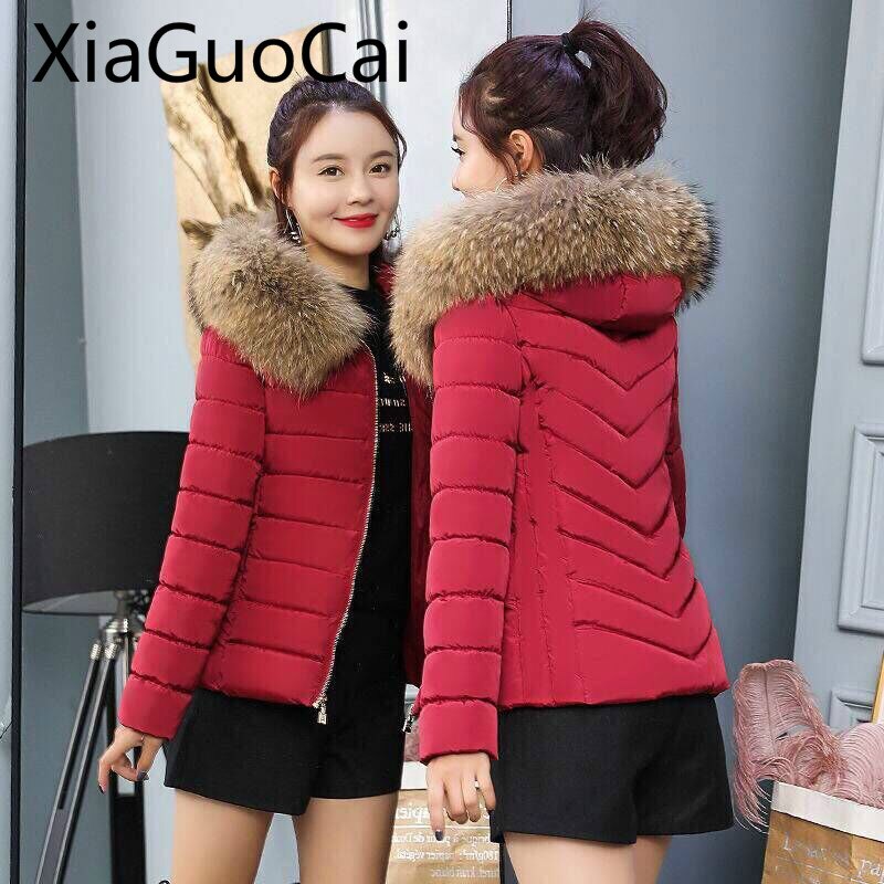Abrigos de invierno de para mujer, chaquetas de algodón nuevas de plumas, abrigos de algodón de talla grande y ajustados con cuello de pelo corto para mujer