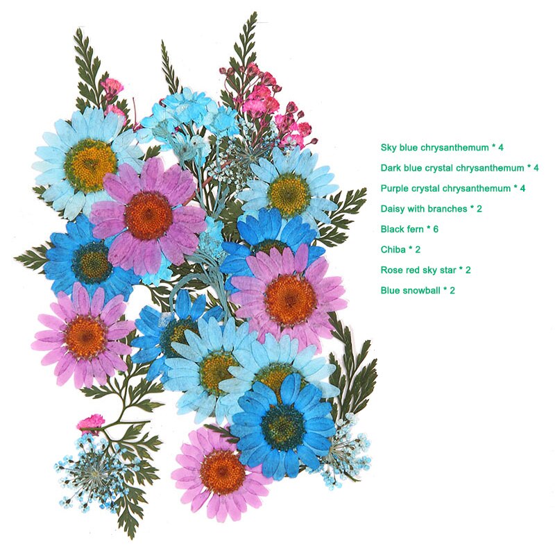 Bra hälsosam pressad blomma blandade torkade blommor gör-det-själv konst blomdekor samling hantverk gör-det-själv: A 4