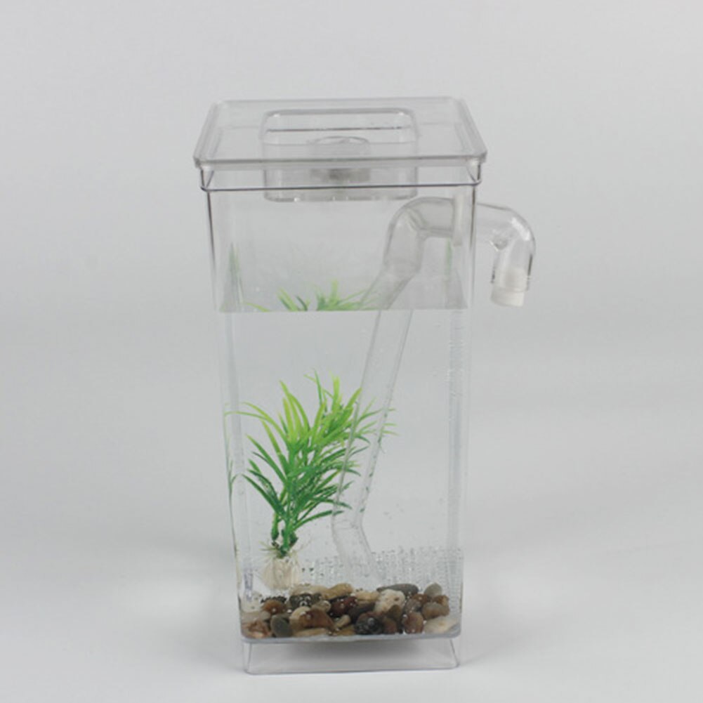 Desktop Goldfish Tank Aquarium Fish Tank Fun Kit Mini Aquatic Pet Supplies Grass Home Decor Self-cleaning Ecological