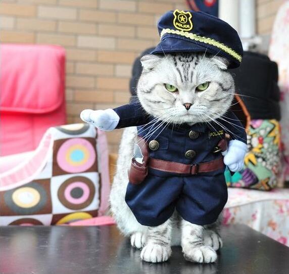 Police style Dog Cat Funny Party costume dog jumpsuits Pet Dog Clothes role play Pet dog apparel: XL