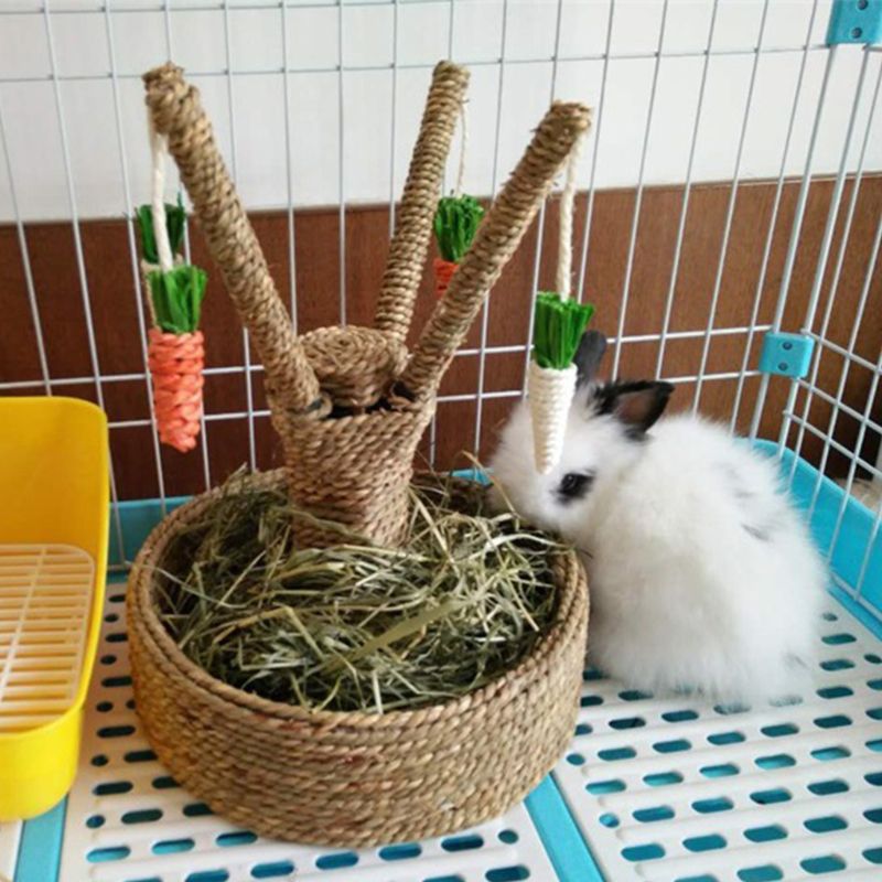 Small Animal Activity Rabbit Toy Fun Carrot Tree Boredom Breaker Rodent Dutch Rat Bite Playing Interaction Lovely Pet
