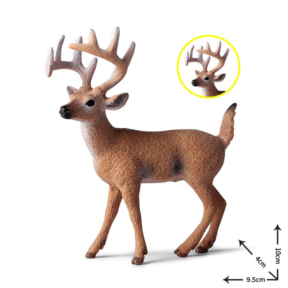 Wildlife Cervidae Dier Actiontoys Figuur Herten Mini Herten Pop Pvc Model Collectible Doll Figure Collection Voor Kinderen