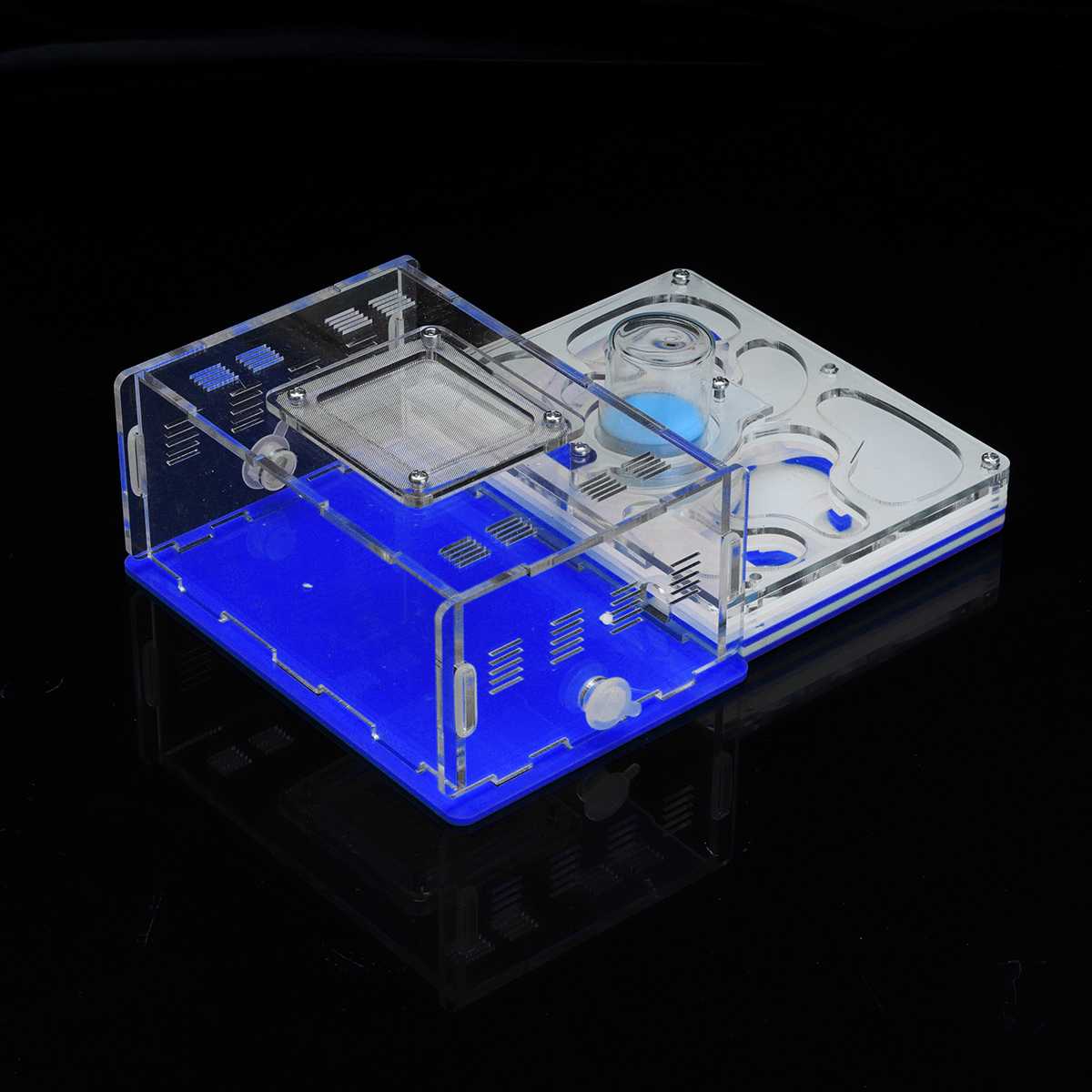 DIY Ameise Nest Ameise Bauernhof Ameisen Arbeit Pädagogisches Formicarium Acryl Insekt Ameise Nester Villa Haustier Manie Haus freundlicher