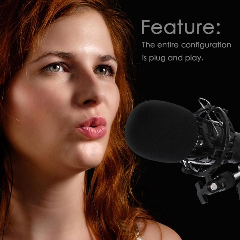 BM-800 Music Studio Broadcasting Recording Studio ... – Grandado