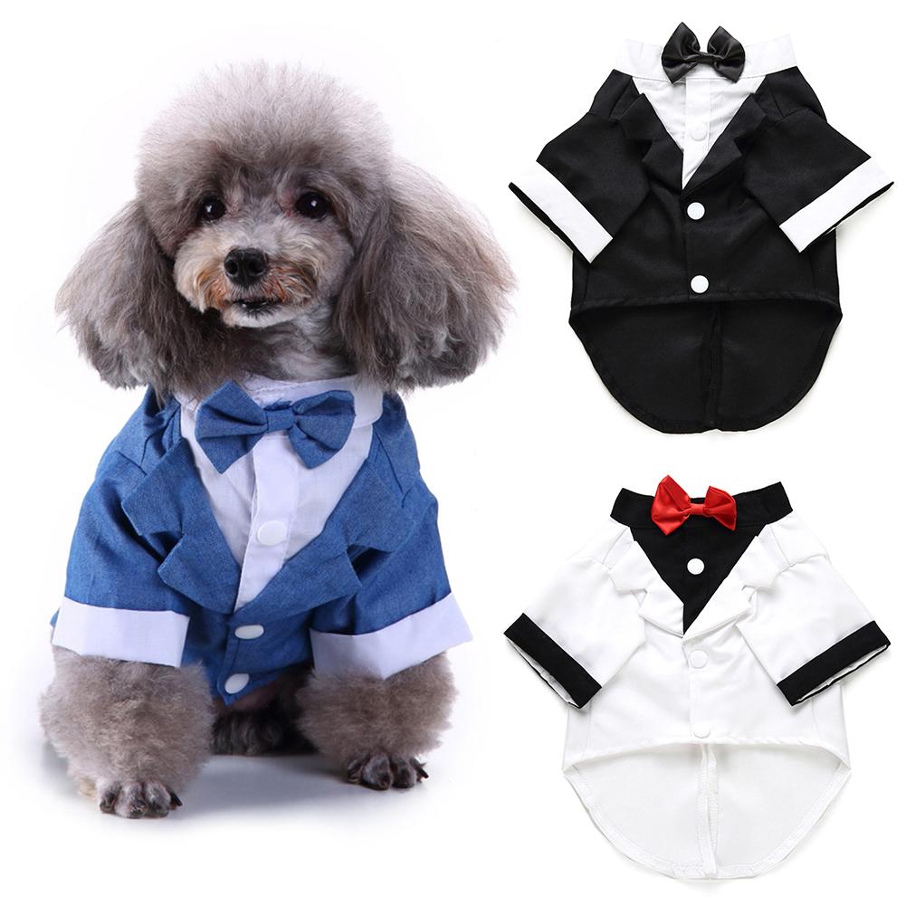 Estilo británico mascota perro boda Formal pajarita esmoquin traje chaqueta novio traje ropa