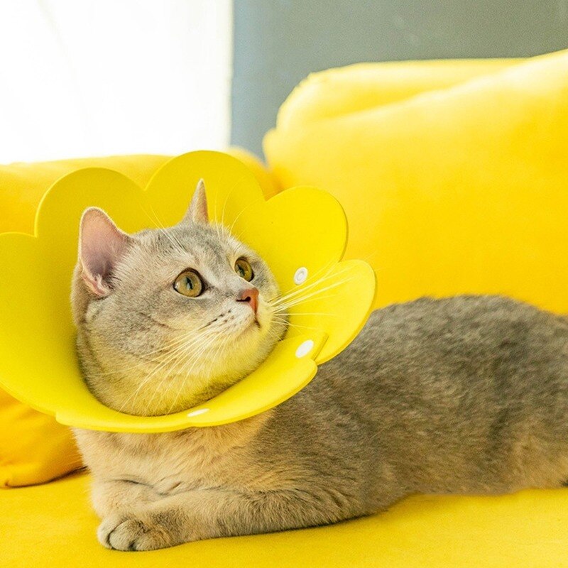 Zonnebloem Kat Elizabeth Kraag Anti Bite Beschermen Bad Kraag Herstel Wond Hond Kat Kraag Dierbenodigdheden Licht Zacht Kitten Puppy