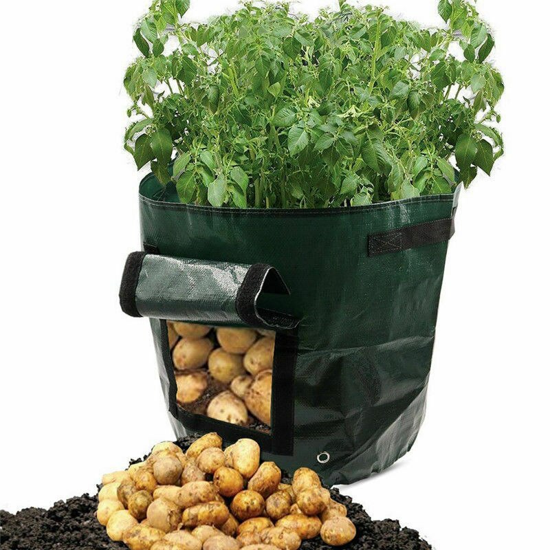 Kartoffel Hängen Beutel Kraut Atmungsaktive Garten Wachsen Tasche Hause Tomaten Pflanzen Behälter Nicht-gewebte Anbau: D35x34