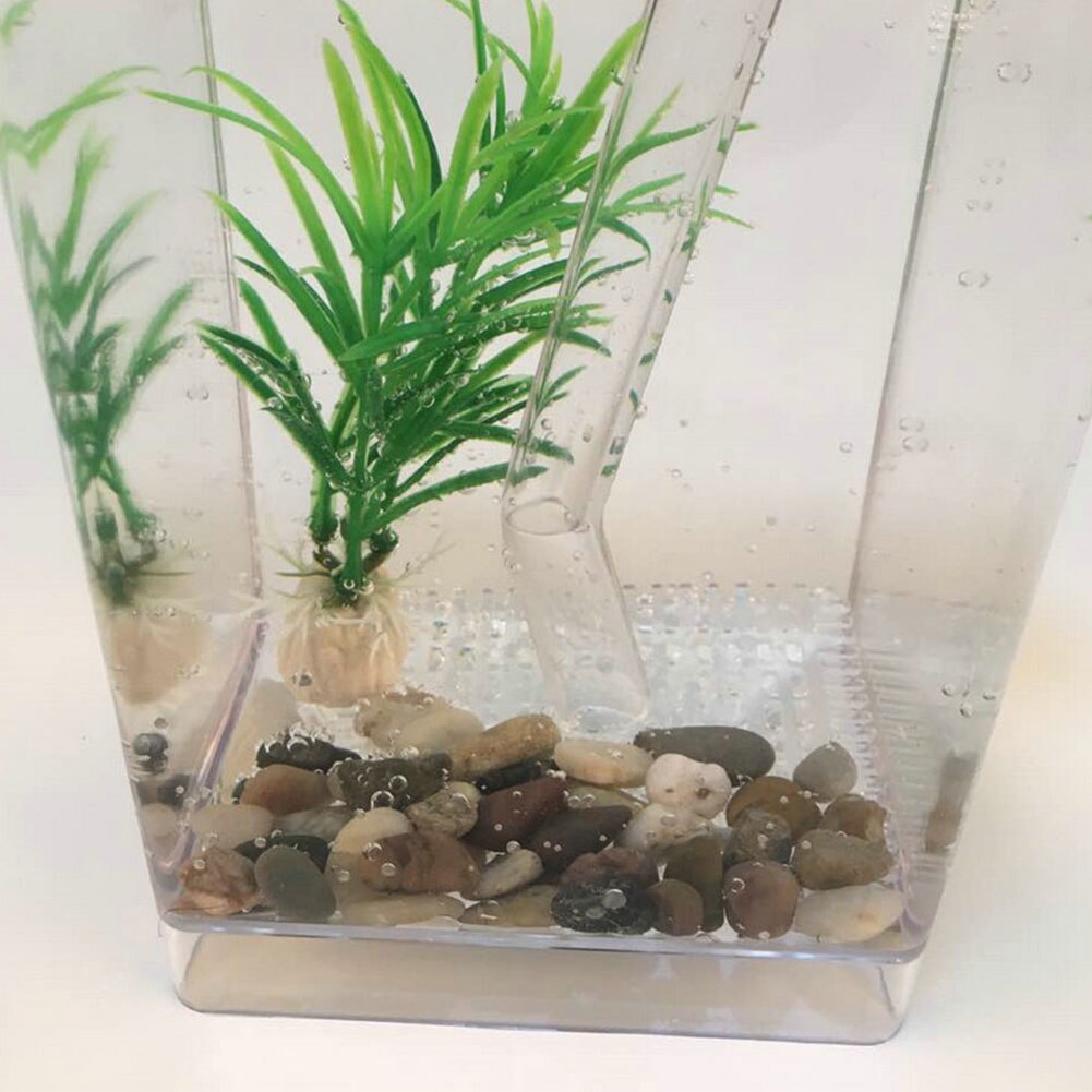 Desktop sjovt sæt økologisk akvarie akvarium selvrensende akvatiske kæledyrsartikler boligindretning guldfisk tank mini græs