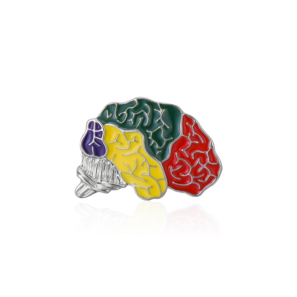 Hanreshe émail orgue broches broches anatomie médicale rein cerveau coeur crâne Badges médecine bijoux pour médecin infirmière: Plaqué platine