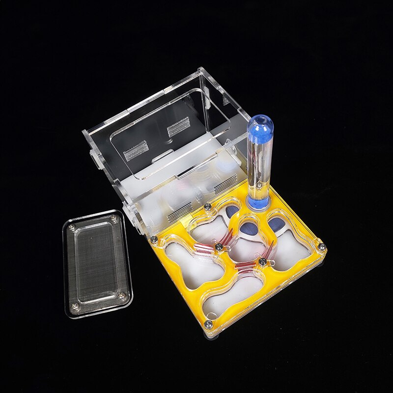 Yellow Ant Nest Acrylic Ant Villa Mini Ant Farm Insect Terrarium Ant Colony Breeding Nest