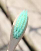 Brosse à dents en spirale en charbon de bambou, outil à dent avec Carton noir et blanc, pour adulte, poils souples,: green