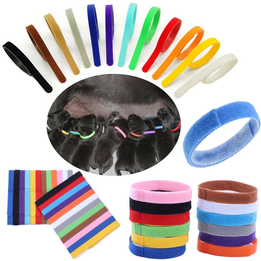 12 Colors Identification Id Collars Bands Whelp Puppy Kitten Dog Pet Cat Adjustable Nylon Small Pet Dog Kitten Necklace Fh5 #60