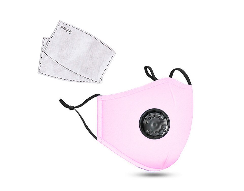 Masque facial avec filtre PM2.5, bavette buccale, bavette lavable, réutilisable, Protection faciale, Anti-salive, projections, pm2, 5: Pink wiht 2 filters