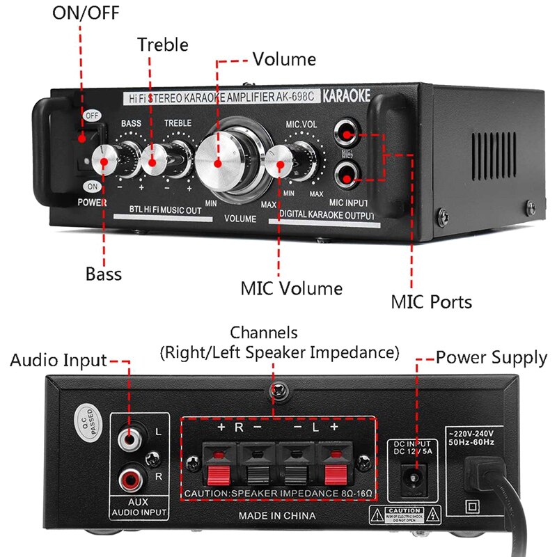 12V/220V 600W 2 Mic Stereo Speaker Mini Auto Home Bass Eindversterker Hifi MP3 Booster AK-698C Eu Plug