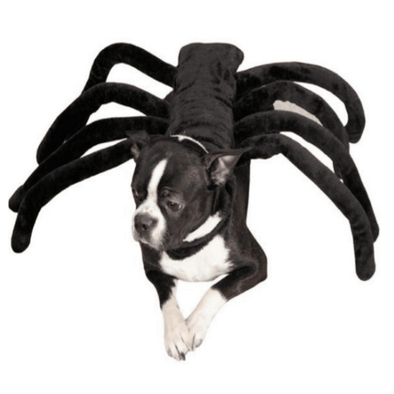 Sjov halloween cosplay kæledyr edderkoppesele kostumer efterår og vinter samlinger hellig hund hund kostume elskede kæledyr tøj