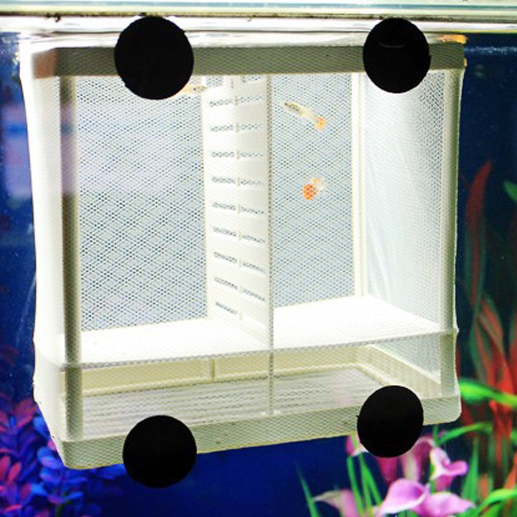 Isolation Mesh Box Suction Cup Fish Breeding Incubator Net Aquarium Hanging Hatchery Box