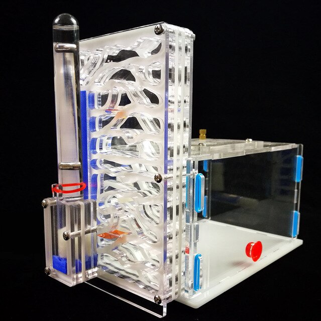 Mini Ant Nest Granja de Hormigas nid fourmis Acryl Ant Farm Insect Cages: White