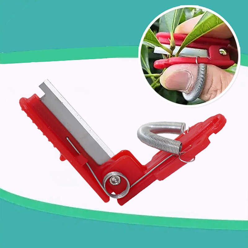 Vicia Vane Picker Vegetable Picker Melon And Fruit Picker Ring Picker Grape Sharpener Leaf-removing Small Blade