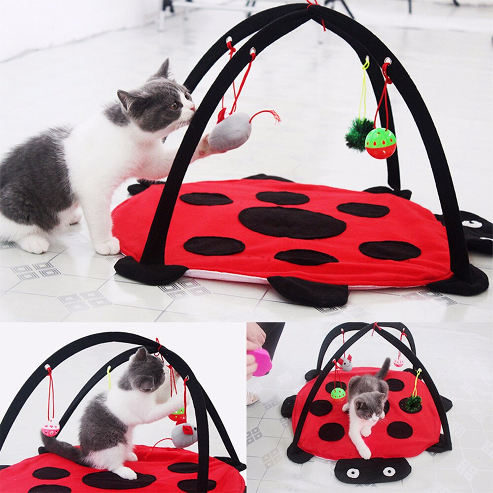Juego plegable de tiendas de gatitos divertidos y Gato, cama de juegos para mascotas, juego de gatos, manta, Casa con juguete colgante, forma de bonito Escarabajo
