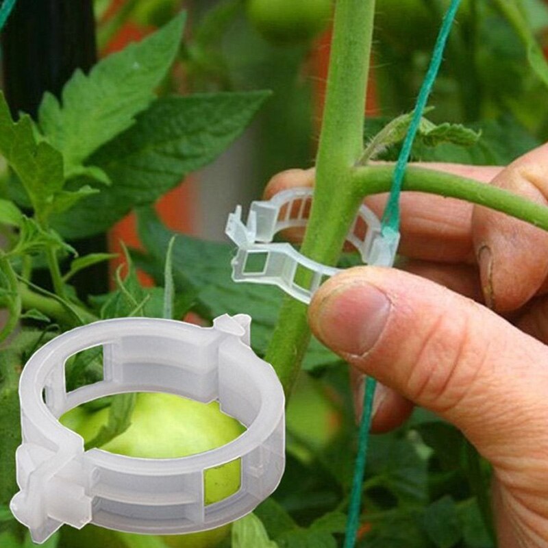 10 stuks aardbeienstandaard balkonbeplantingsrek fruitondersteuning houder bloem klimplant pilaar met plantenklem