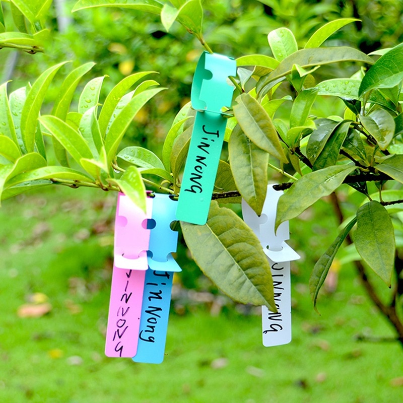 100 stk plastikmarkører vandtæt børnehaveplantermærker havehængende træmarkører farverige plantemarkører bakkeværktøj