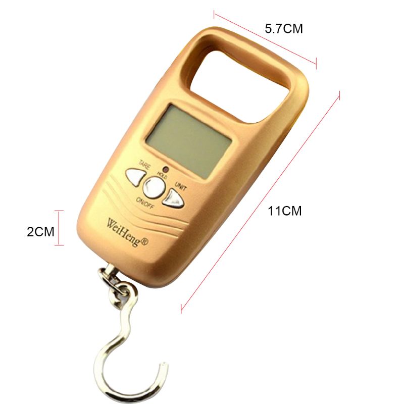 Mini Electronic Portable Scale Fishing Spring Electronic Scale Express Luggage Scale 50 kg
