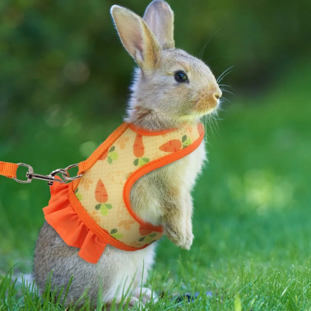 Cute Rabbit Harness and Leash Set Bunny Clothes Pet Accessories Vest Harnesses Rabbit Leashes for Outdoor Walking Pets Supplies