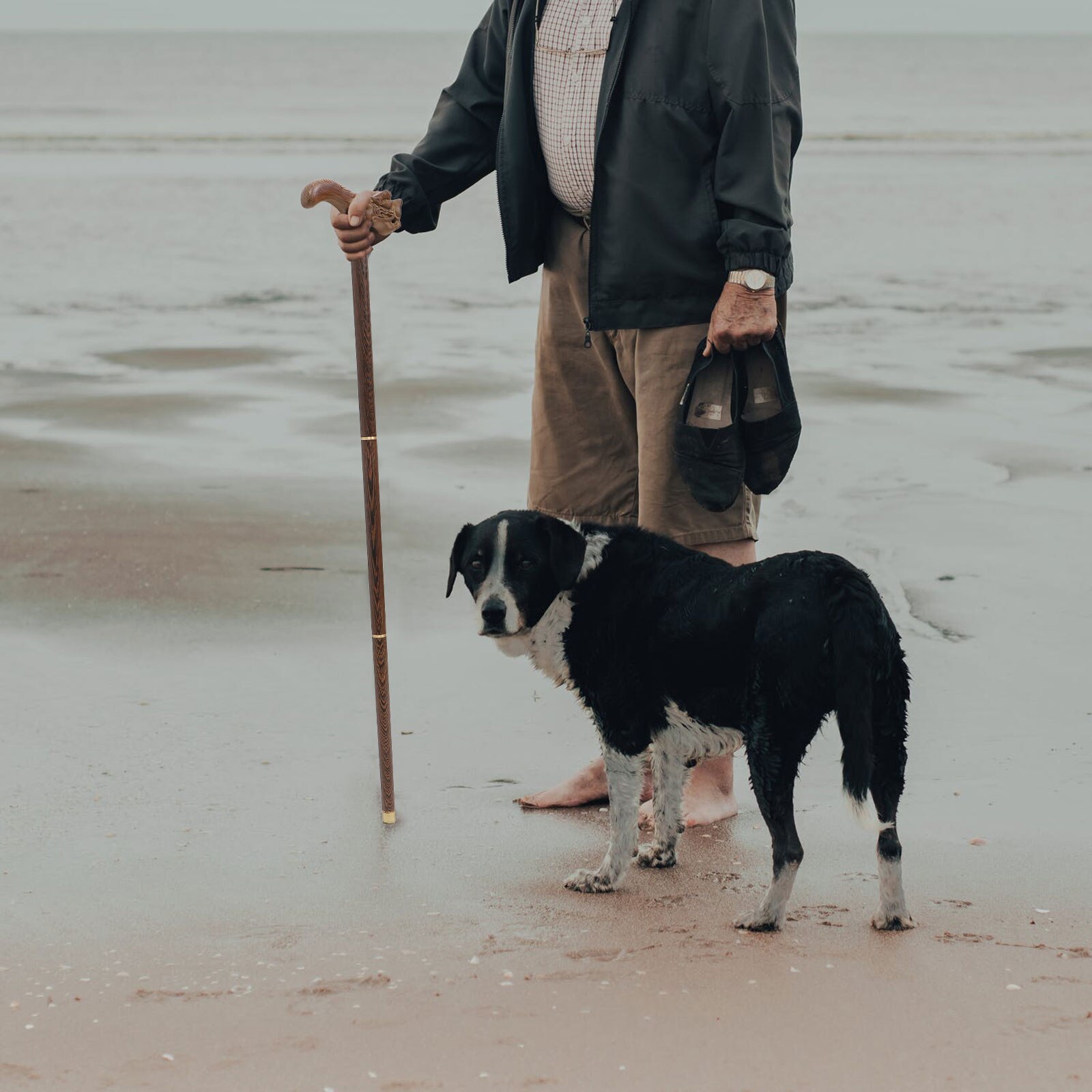 Detachable Travel Walking Stick Pole Anti-skid Walking Pole for Elderly