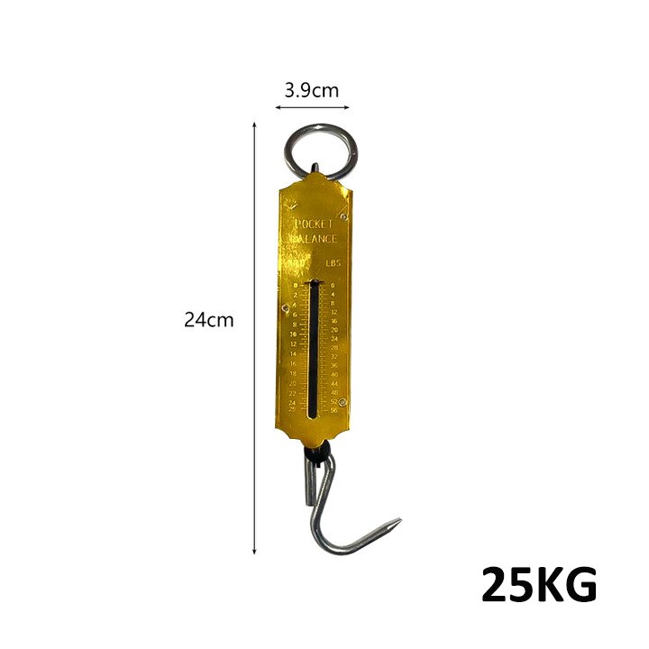 150kg style ancien balance suspendue multi-usages mécanique cuisine et poisson pêche échelle crochet pêche balance LCD numérique pesage: 25KG