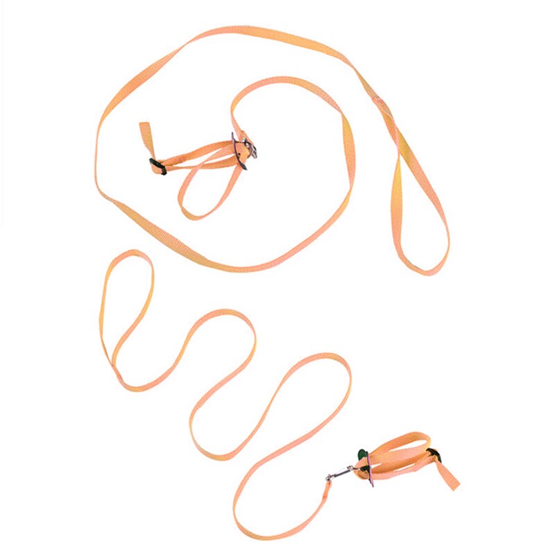Ensemble harnais et laisse pour Hamster, réglable, pour la marche, pour petits animaux, Rat d&#39;inde, Chinchillas, corde, accessoires pour Hamster
