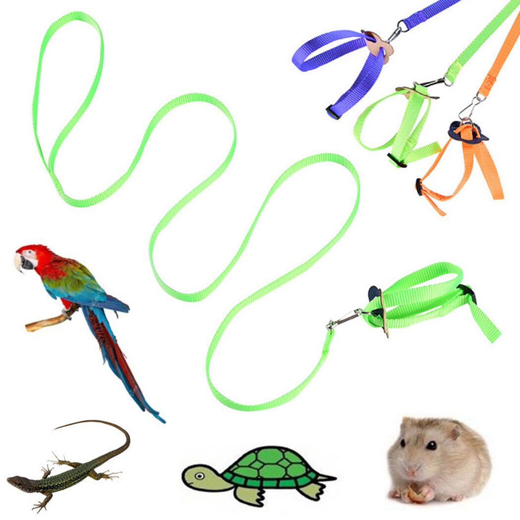 1 pièces harnais pour oiseaux laisse Nylon réglable perroquet harnais laisse fournitures pour oiseaux perroquet oiseau AntiBite en plein air harnais de vol
