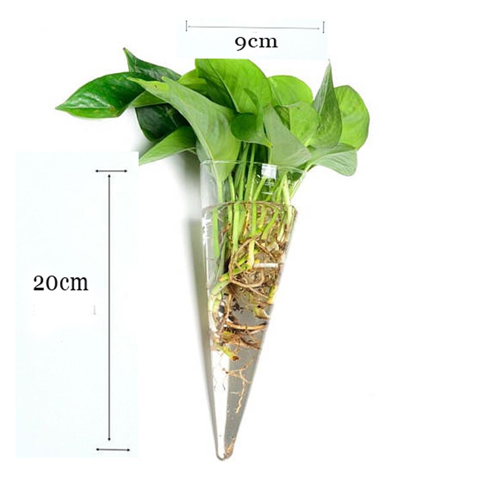 Neue Transparente Glas Wand Vase Wand Hängen Pflanzen Terrarium Glas Pflanzer Blume Halter Vase Kreative Garten Hof Wohnkultur: B