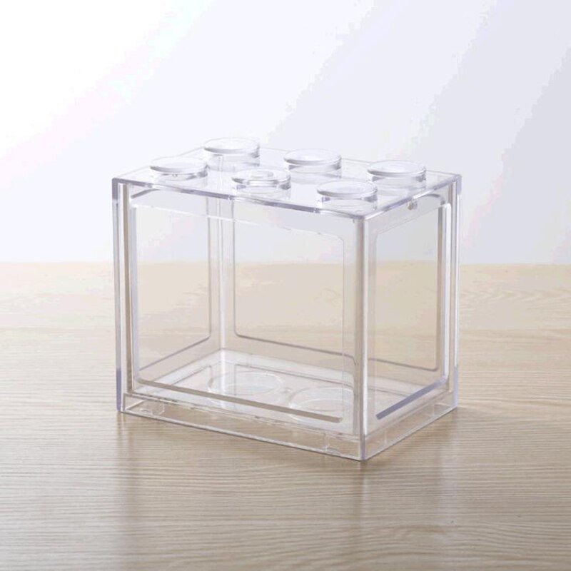 Mini tanque de peces de Tailandia Betta, pequeño tanque de peces Ornamental de escritorio, cuencos de peces ecológicos, Micro Terrario de paisaje: Transparent