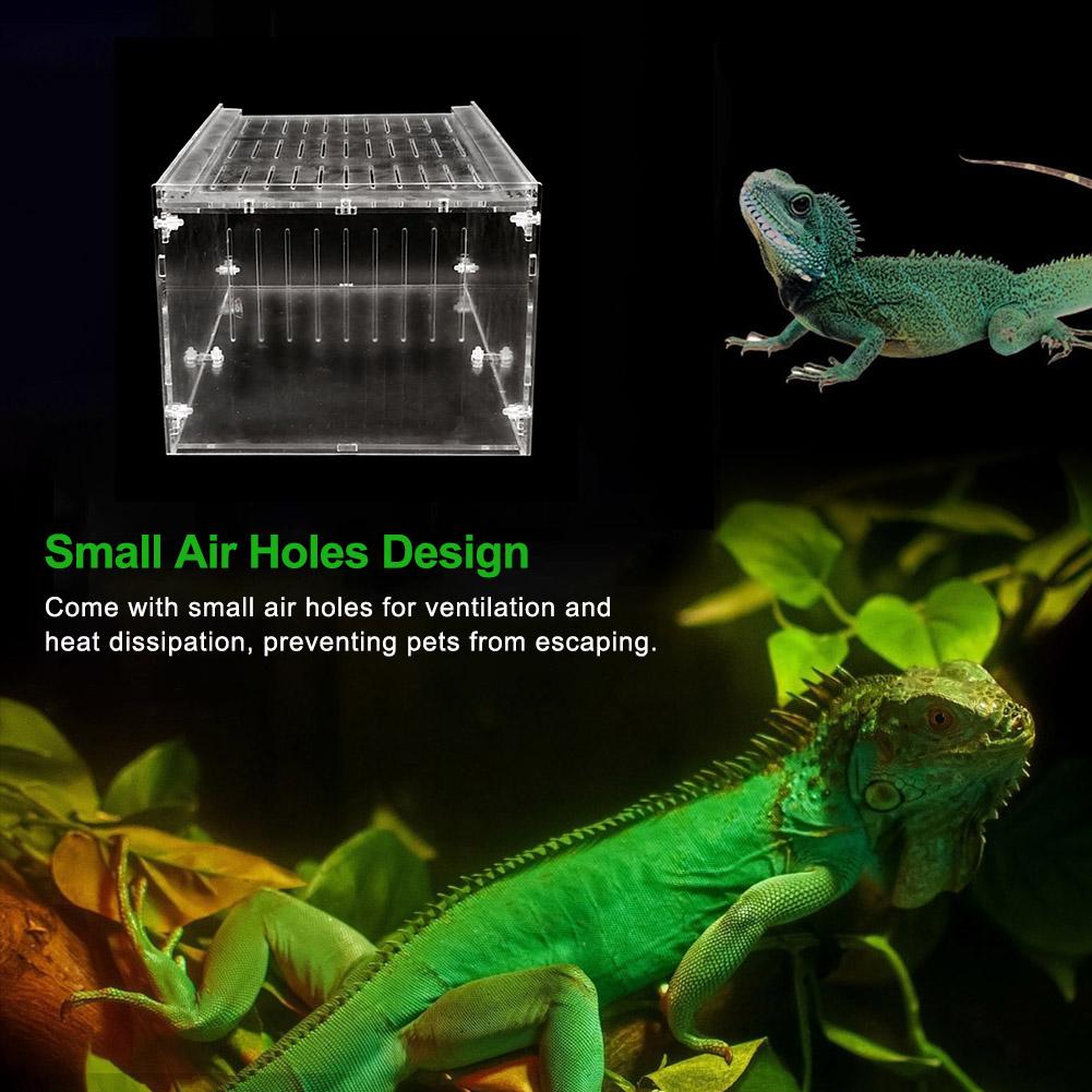 Large Reptile Breeding Box Reptile Breeding Box Acrylic Feeding Box For Spider Lizard Frog Cricket Turtle