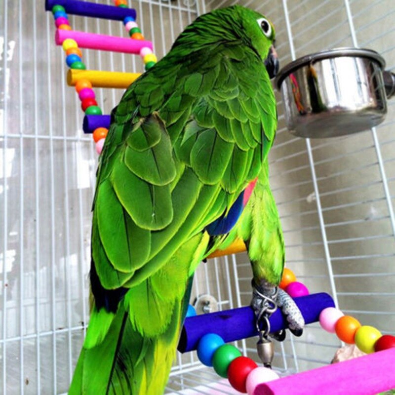 Échelle à billes en bois coloré 29/40/52 cm, jouets d&#39;oiseaux de compagnie, Cage à perroquets, aras, balançoire, morsures de perroquets