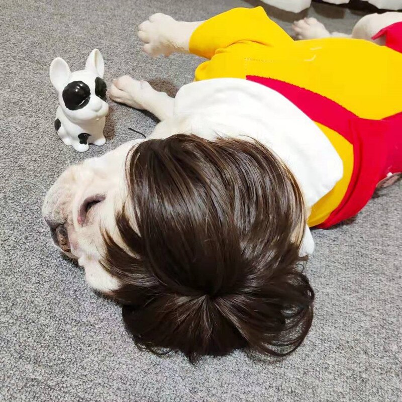 Kæledyr parykker cosplay rekvisitter sjove hunde katte cross-dressing hår hat kostumer hoved tilbehør til halloowen jul kæledyr forsyninger