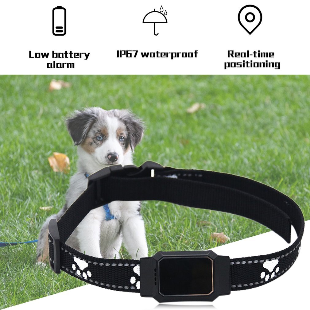 D35 Waterdichte Gps Gsm Huisdier Tracker Systeem Voor Katten Honden Gratis App Voor Mobiele Hond Kat Huisdieren Tracer Anti Verloren kraag Smart Finder
