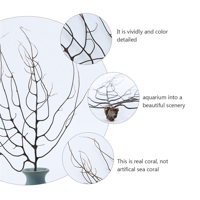 Zwarte Zee Fan Aquarium Aquarium Decoratie Sea Coral Ornament